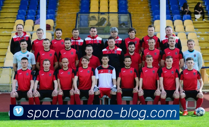 半岛体育APP 体育赛事宣传图